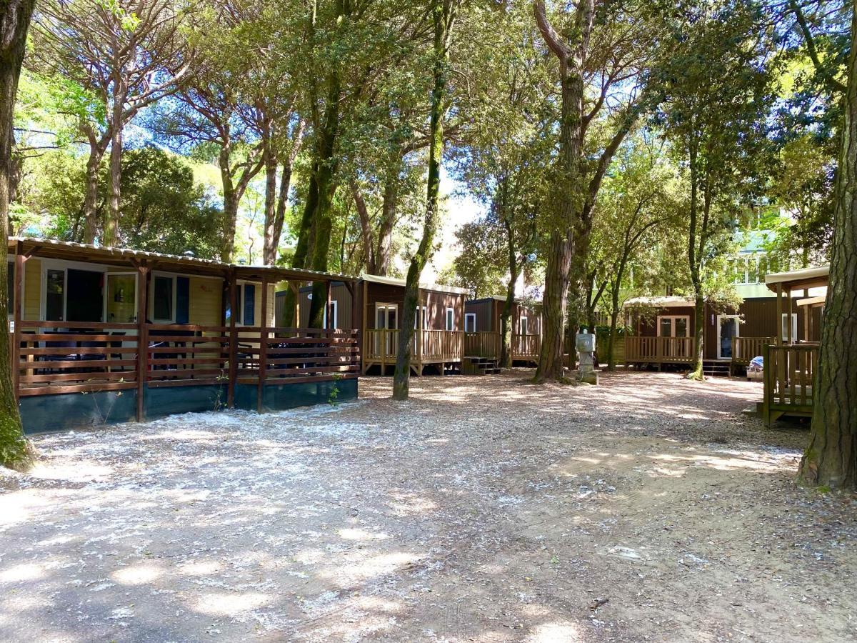 Dena Chalets - Lido Di Spina At The Beach Buitenkant foto